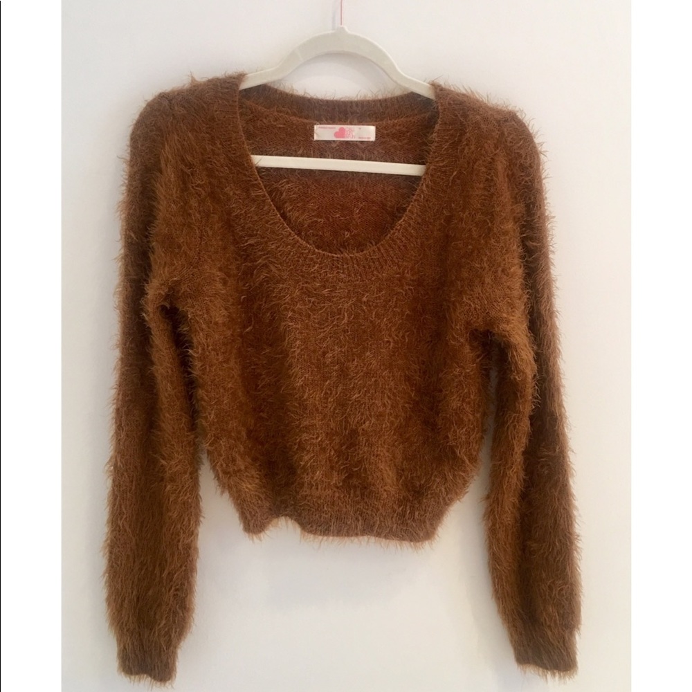 Fuzzy Brown American Apparel Sweater